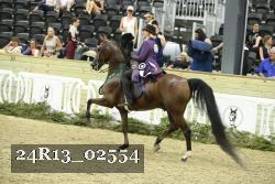 24R13_02554 thumbnail