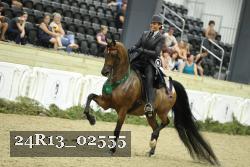 24R13_02555 thumbnail