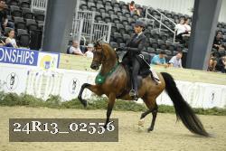 24R13_02556 thumbnail