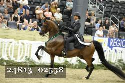 24R13_02558 thumbnail