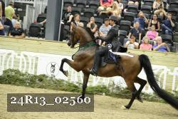 24R13_02560 thumbnail