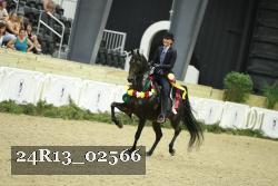 24R13_02566 thumbnail