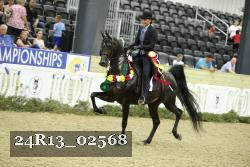 24R13_02568 thumbnail