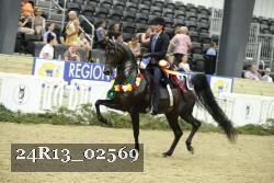 24R13_02569 thumbnail