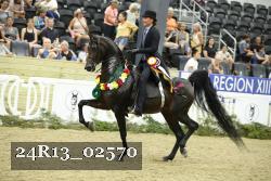 24R13_02570 thumbnail