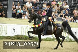 24R13_02571 thumbnail