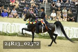 24R13_02572 thumbnail