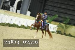24R13_02579 thumbnail