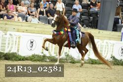 24R13_02581 thumbnail