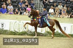 24R13_02583 thumbnail