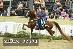 24R13_02584 thumbnail
