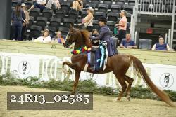 24R13_02585 thumbnail