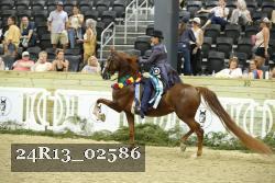 24R13_02586 thumbnail