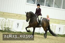 24R13_02599 thumbnail