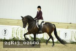 24R13_02600 thumbnail
