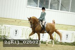 24R13_02602 thumbnail
