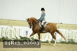 24R13_02603 thumbnail