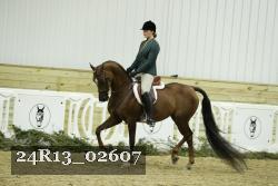 24R13_02607 thumbnail