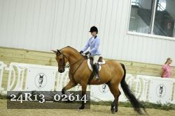 24R13_02614 thumbnail