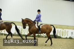24R13_02617 thumbnail