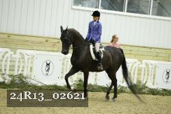 24R13_02621 thumbnail