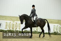24R13_02628 thumbnail