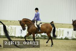 24R13_02633 thumbnail