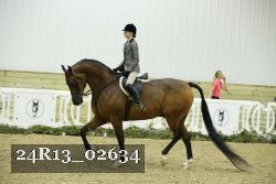 24R13_02634 thumbnail