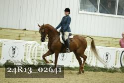 24R13_02641 thumbnail