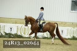 24R13_02644 thumbnail