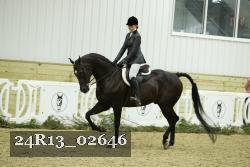 24R13_02646 thumbnail