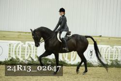 24R13_02647 thumbnail