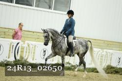 24R13_02650 thumbnail