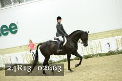 24R13_02663 thumbnail