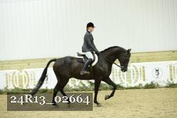24R13_02664 thumbnail