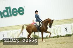 24R13_02665 thumbnail