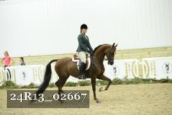 24R13_02667 thumbnail