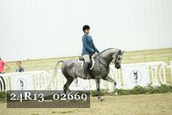 24R13_02669 thumbnail