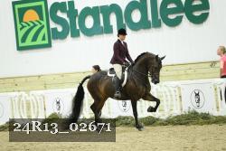 24R13_02671 thumbnail