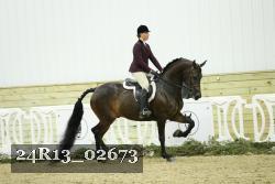 24R13_02673 thumbnail