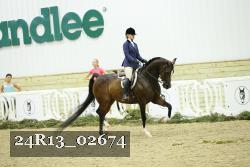 24R13_02674 thumbnail