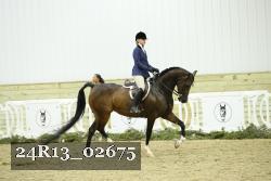 24R13_02675 thumbnail