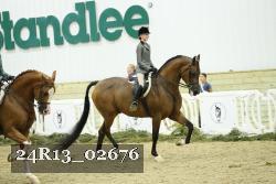 24R13_02676 thumbnail