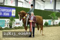 24R13_02688 thumbnail
