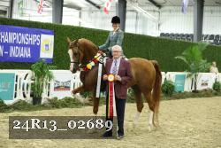 24R13_02689 thumbnail