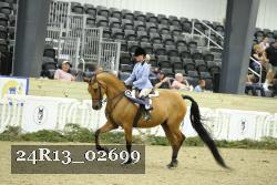 24R13_02699 thumbnail