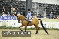 24R13_02700 thumbnail