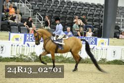 24R13_02701 thumbnail