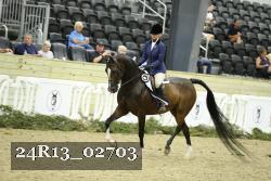 24R13_02703 thumbnail