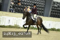 24R13_02708 thumbnail